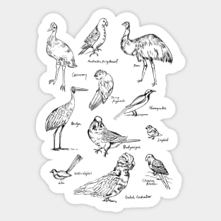 Australian Birds Sticker